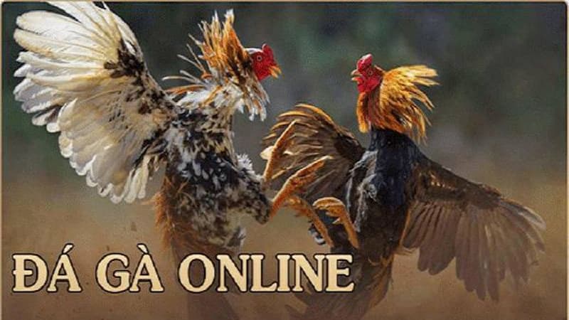 da ga sv88 1 Game đá gà