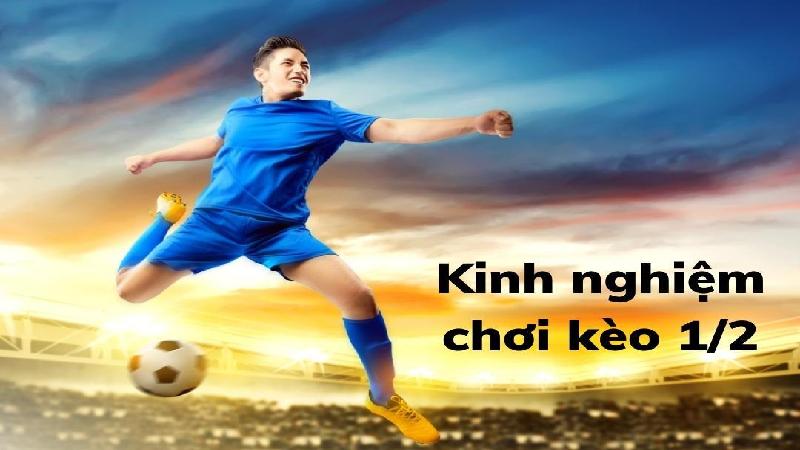 pasted image 0 2 Kèo chấp 0.5 trong bóng đá là gì?