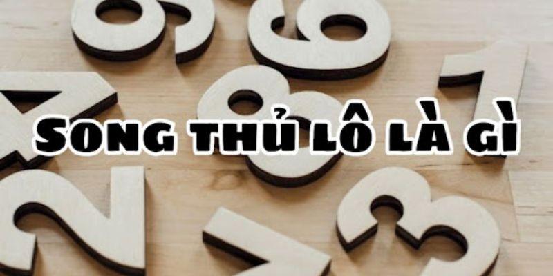 song thu lo la gi dinh nghia Tìm hiểu lô song thủ ăn bao nhiêu?