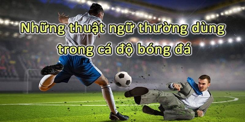unnamed 16 Thuật ngữ cá độ bóng đá phổ biến trong kèo châu Á